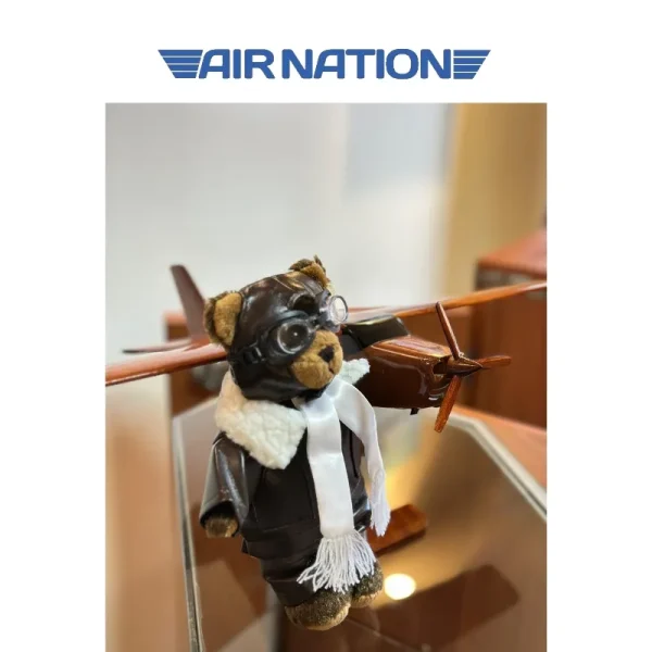 Osito de  peluche de piloto - Imagen 2